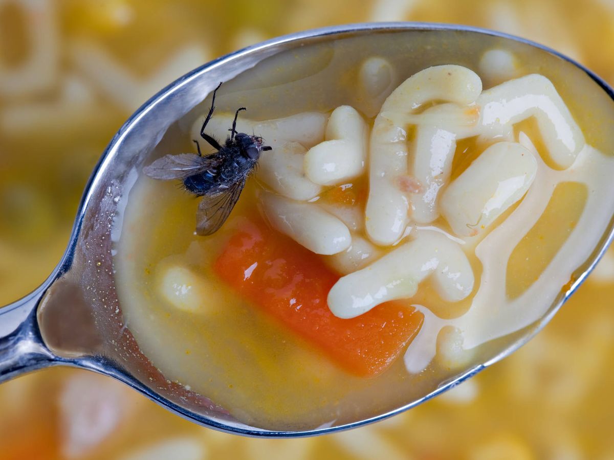 mosca flota dentro de una cucharada de sopa